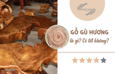 Gỗ Gù Hương Là Gì? Gỗ Gù Hương Thuộc Nhóm Mấy?
