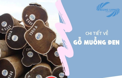 [Chi Tiết] Gỗ Muồng Đen Là Gỗ Gì? Thuộc Nhóm Mấy? Có Tốt Không?